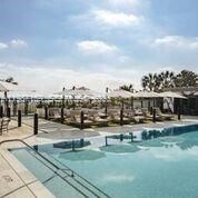 Muse #4501/4601 image #24