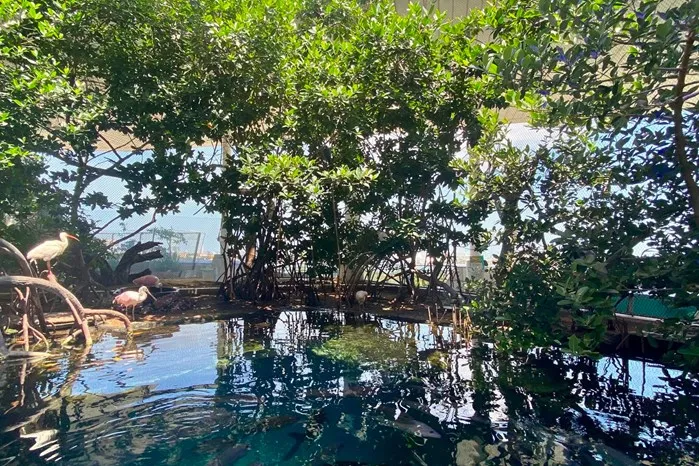 Earth Day at the Frost Museum of Science: April 17