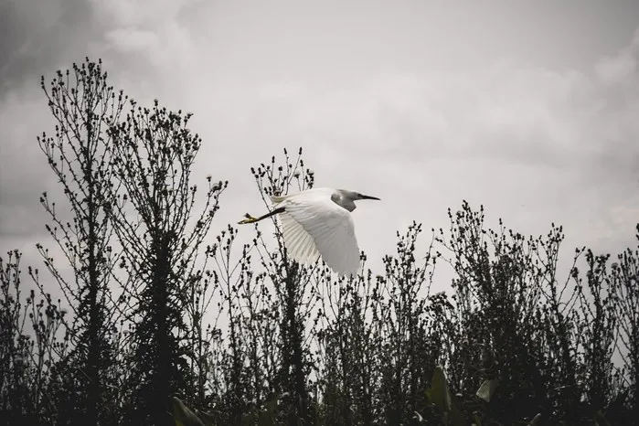 Events at the Deering Estate: Throughout April