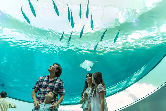 Miami Attractions and Museums Month: April 1 – May 31