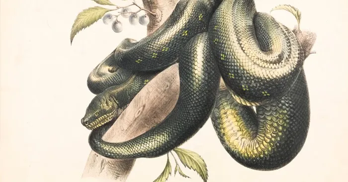 Intro to Colored Pencil Drawing & Painting: August 21 & 24