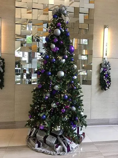 Nine at Mary Brickell Village - Brickell