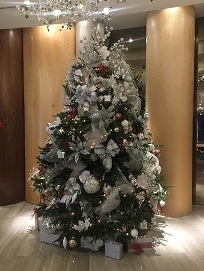 Aria on the Bay - Edgewater