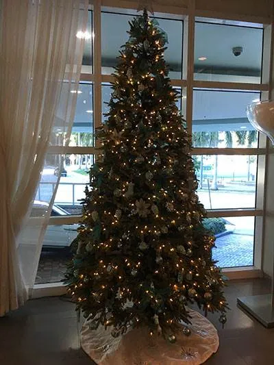 Quantum on the Bay - Edgewater