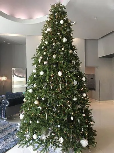 1800 Biscayne Plaza - Edgewater