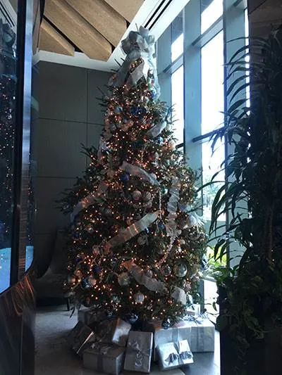 Echo Brickell - Brickell