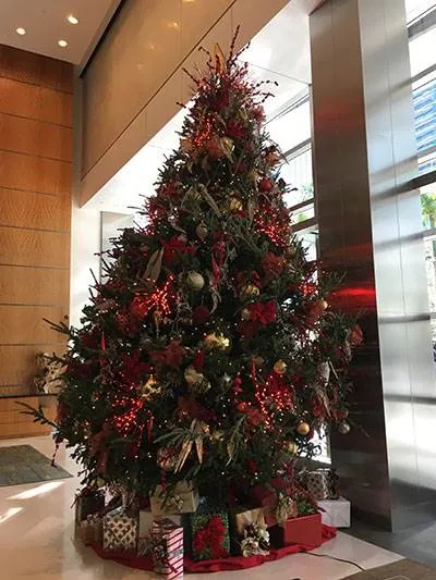 The Four Seasons Residences - Brickell