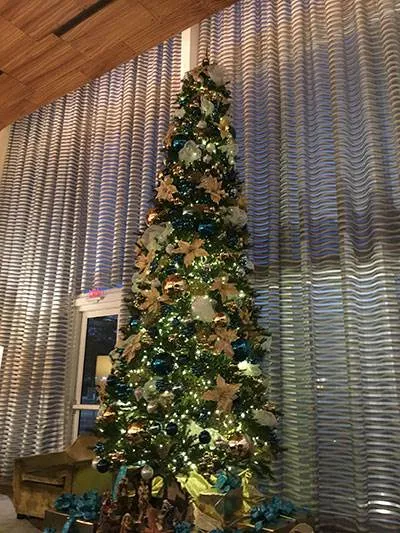 50 Biscayne - Downtown