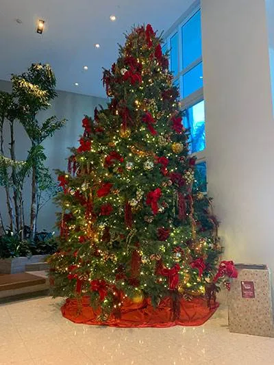 Paramount Bay - Edgewater