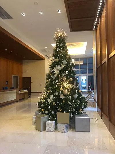 Avenue 1060 Brickell - Brickell