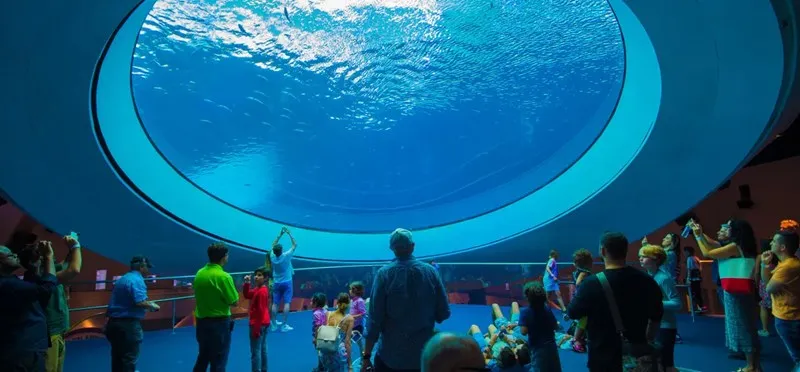 Frost Science Museum - Acquarium