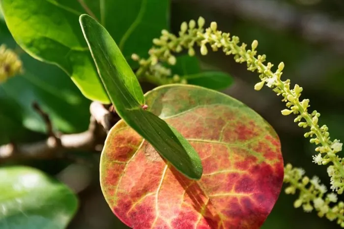 The Art of Tim Forman: July 3 – September 26