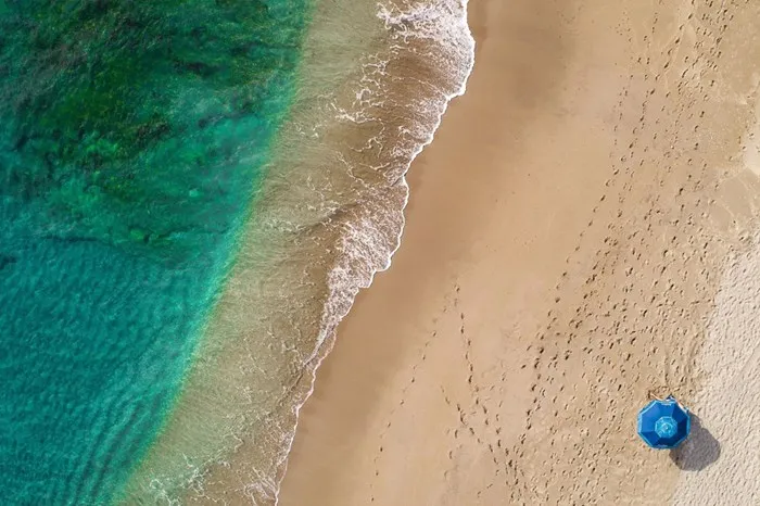 The Official Miami Art Week Pop-Up Show