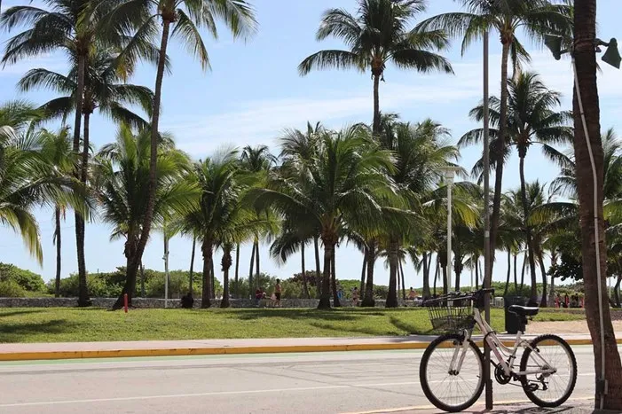 Ocean Drive Boardwalk