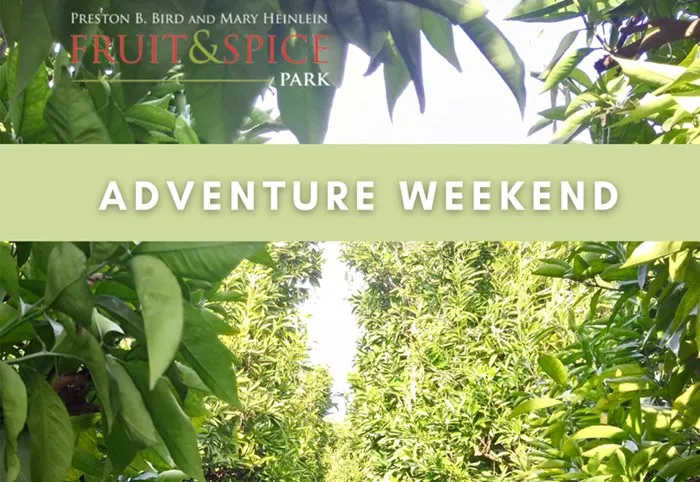 Springtime Adventure: April 29