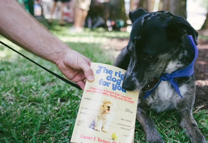 Dogleggers with PAWS at The Underline: April 1