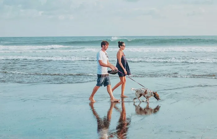 Walking the dog at the beach