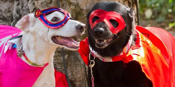 Howl-O-Ween, Oct. 29