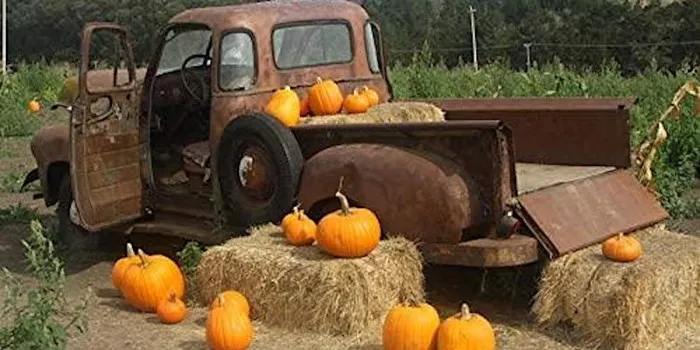 Pumpkin Patch & House of Horrors at Miami International Mall, Oct. 1-31