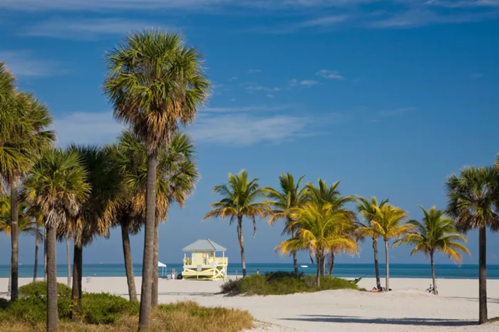 Beach in Key Biscayne