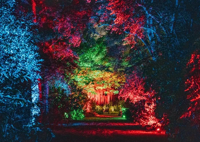 NightGarden and Holiday Jazz at the Fairchild