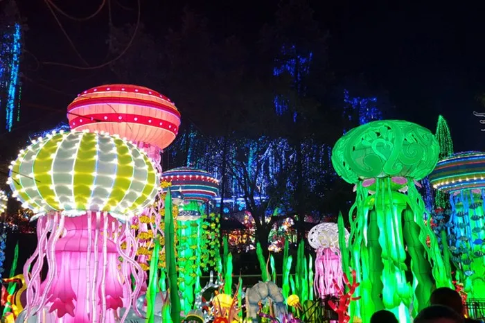 Luminosa – A Festival of Lights