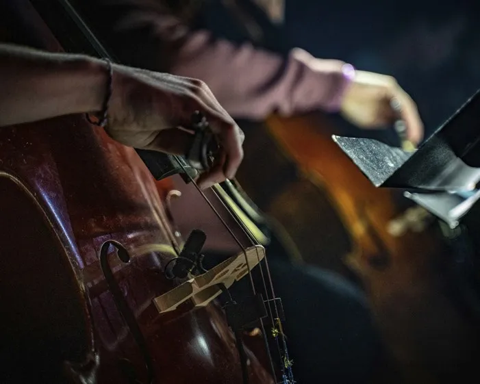 New World Symphony: Strings, Woodwinds, and Brahms & Bartok Performances