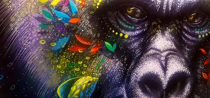 Graffiti Wall: Wynwood - Miami , FL